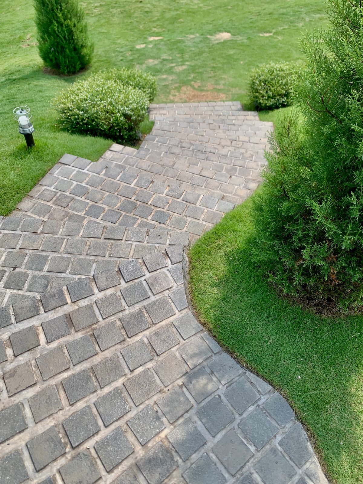 Brick steps leading through garden