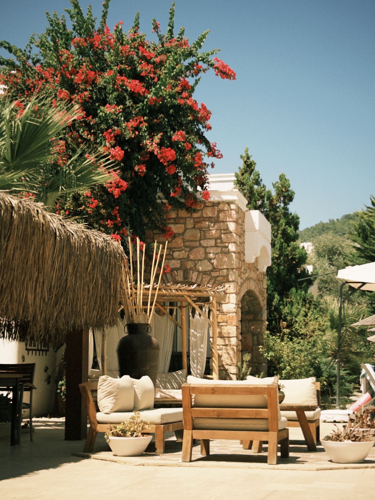 Courtyard with bougainvillea