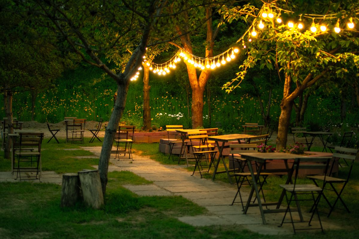 Evening garden dining under string lights