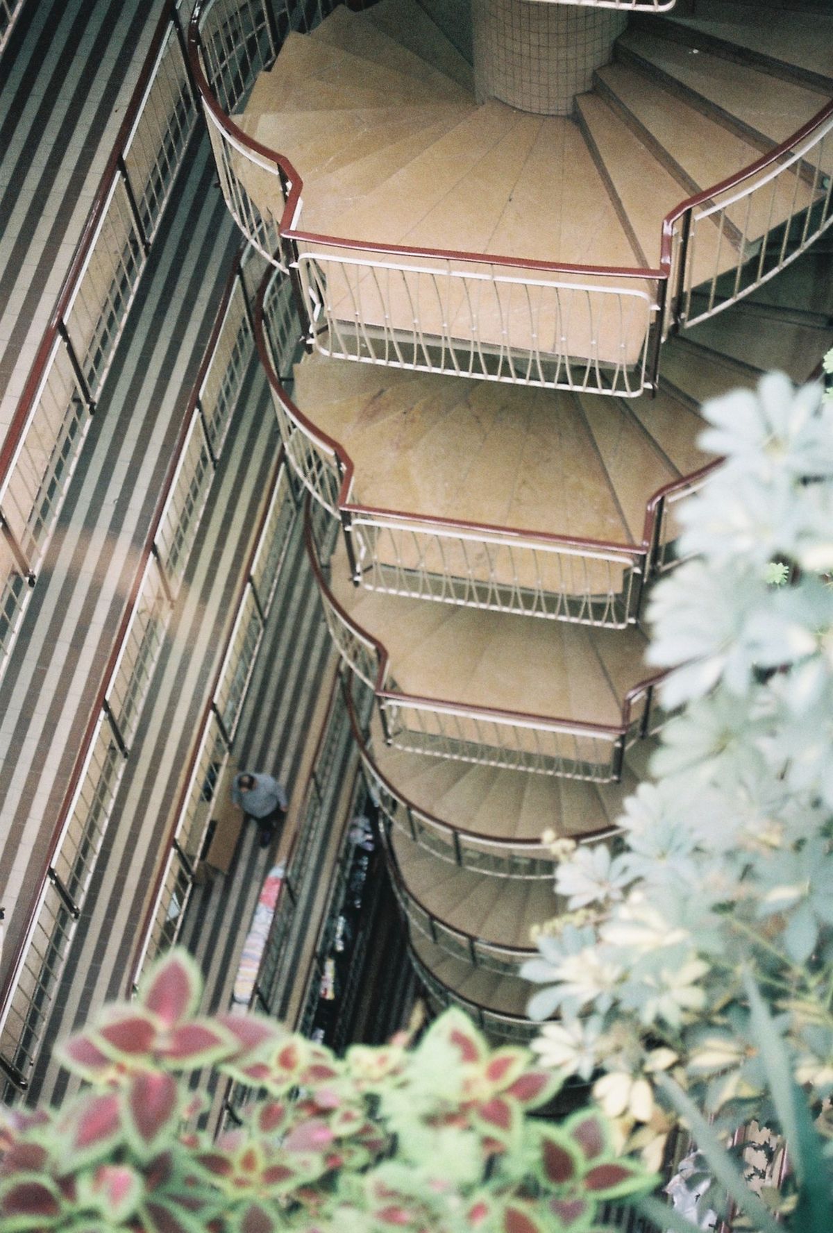 Terrace and balcony garden
